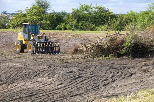 North Myrtle Beach Land Clearing